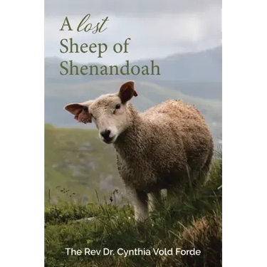 A Lost Sheep of Shenandoah: Charles Edwin Rinker of Virginia and Harry Bernard King of Iowa: Dna Reveals They Were the Same Man
