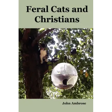 Feral Cats and Christians