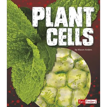 Plant Cells