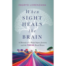 When Sight Heals the Brain: A Memoir of a Brain Injury Journey and the Visual Road Home