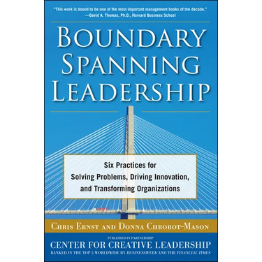 Boundary Spanning Leadership (Pb)