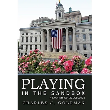 Playing in the Sandbox: A Lawyers Guide Volume 1