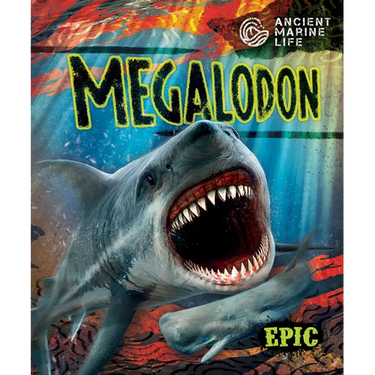 Megalodon