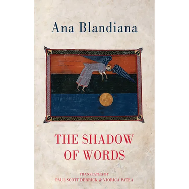 The Shadow of Words