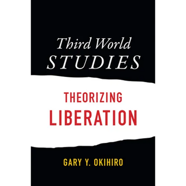 Third World Studies: Theorizing Liberation