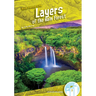 Layers of the Rain Forest
