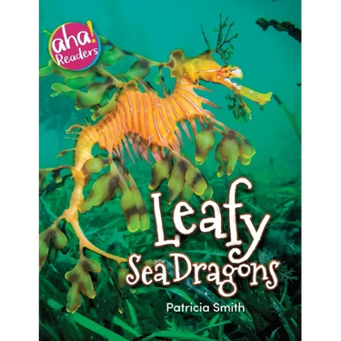 Leafy Sea Dragons