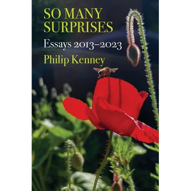 So Many Surprises: Essays 2013-2023