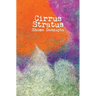 Cirrus Stratus