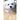 The Maltese Dog: What You Should Know