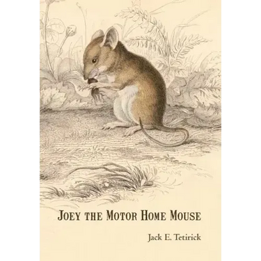 Joey the Motor Home Mouse