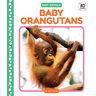 Baby Orangutans