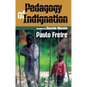 Pedagogy of Indignation