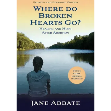 Where Do Broken Hearts Go?: Healing and Hope After Abortion