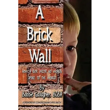 A Brick Wall: How a Boy with No Words Spoke to the World