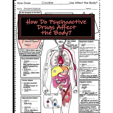 How Do Psychoactive Drugs Affect the Body?: Understanding How Drugs Affect the Synapse and Body Organs