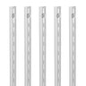 Shelf Track 39-inch 10 Pack Adjustable Steel Wall Mounted Shelf Pilaster