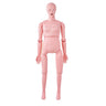Nursing Training Manikin, Female Life Size Demonstration Human Manikin for Nursing Training, Multifunctional Education Teaching Model Supplies, PVC Anatomical Mannequin Body Care Simulator Model