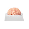 Human Brain Model Anatomy, 1:1 Life-Size 9-Part Human Brain Anatomical Model with Labels & Display Base, Detachable Brain Model for Science Research Teaching Learning Classroom Study Display