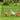 Chicken Tunnels, 118.1 x 28 x 24.2 inch (LxWxH) Chicken Tunnels for Yard, Portable Chicken Tunnels for Outside Easy Installation, Chicken Coop Run, Suitable for Chickens, Ducks, Rabbits