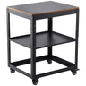 Planer Stand, 100 lbs / 45 kg heavy loads, Three-Gear Height Adjustable Thickness Planer Table,with 4 Stable Casters & Storage Space, for most planers, saws, bench-top machines, power tools