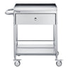 Medical Cart, 2-Layer Stainless Steel Cart 220 lbs Weight Capacity, Lab Utility Cart with 360° Silent Wheels and a Drawer for Lab, Clinic, Kitchen, Salon