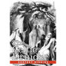 The Celtic Druids