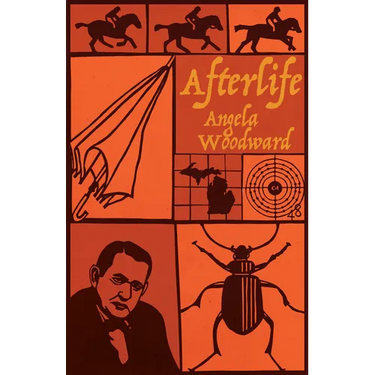 Afterlife
