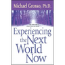 Experiencing the Next World Now