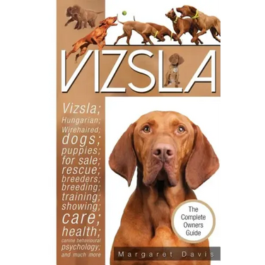 Vizsla