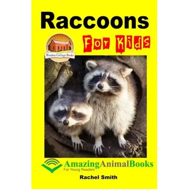 Raccoons For Kids