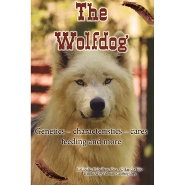 The Wolfdog: Genetics - characteristics - cares - feeding and more