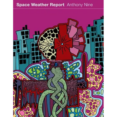 Space Weather Report