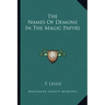 The Names of Demons in the Magic Papyri