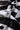 d11077c7-000e-4650-b6ff-79a1c691b87f-Max