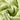 d156649e-18ae-43a5-ab51-075c4d2ab1fd-Max