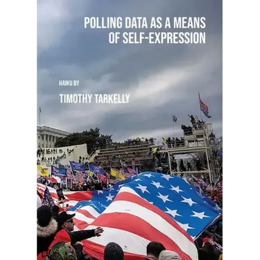 Polling Data as a Means of Self-Expression