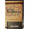 A Survey of the Scriptures