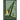 Tertium Organum: The Third Canon of Thought: A Key to the Enigmas of the World