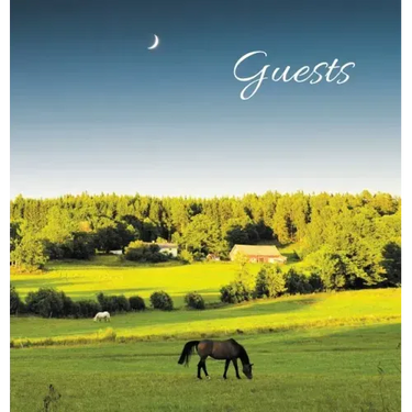 GUEST BOOK for Guest House, Airbnb, Bed & Breakfast, Vacation Home, Retreat Centre: HARDCOVER Visitors Book, Guest Comments Book, Vacation Home Guest