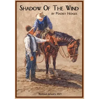 Shadow Of The Wind