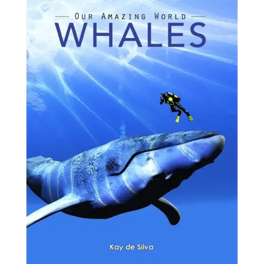 Whales: Amazing Pictures & Fun Facts on Animals in Nature