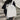 d264a298-e94a-422d-9efd-4975b422d98c-Max