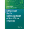 Extracellular Matrix Biomineralization of Dental Tissue Structures