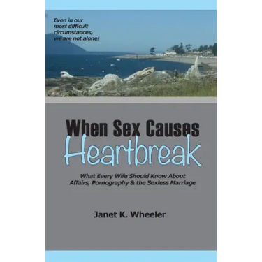 When Sex Causes Heartbreak: What Every Wife Should Know About Affairs, Pornography & the Sexless Marriage