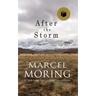 After the Storm