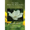 Not Only When The Rain Falls: Adventures in Awakening