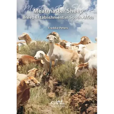Meatmaster Sheep: Breed Establishment in South Africa