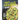 Guacamole Cookbook: Trendy and Fun Guacamole Recipes