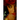 Our Lady of the Night